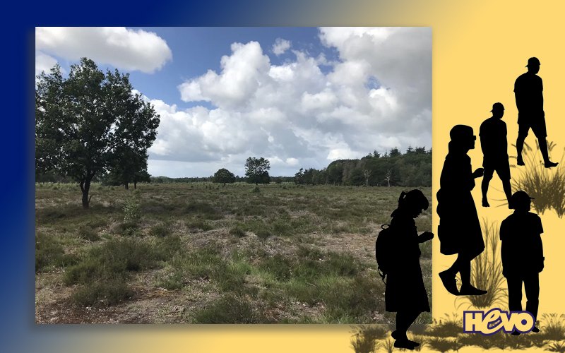 Excursie in de Maashorst Excursie in de Maashorst