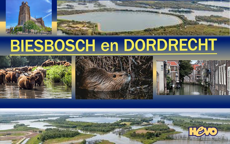 Dagreis Biesbosch en Dordrecht.