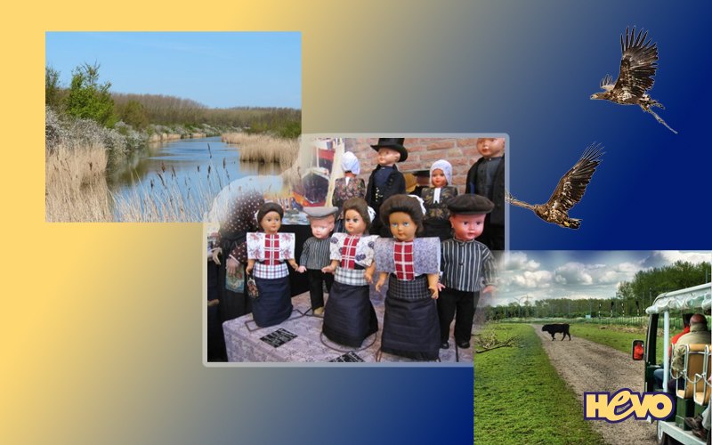 Dagtocht: Oostvaardersplassen en Spakenburg. 2 voetjes