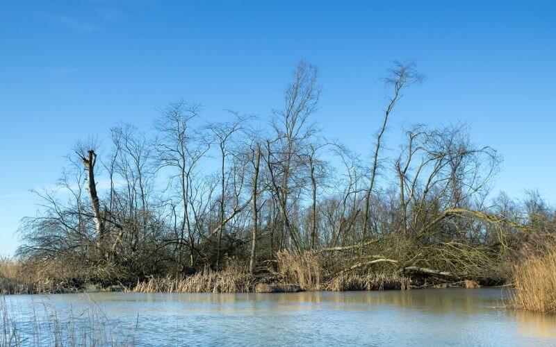 Biesbosch en Dordrecht